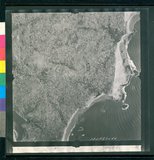 ���Ƚs��:12-1981