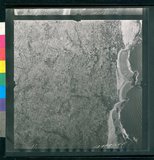 ���Ƚs��:12-1981