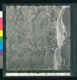 ���Ƚs��:12-1981