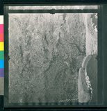 ���Ƚs��:12-1981