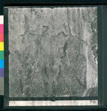 ���Ƚs��:12-1981