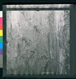 ���Ƚs��:12-1981