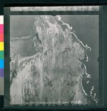 ���Ƚs��:12-1981