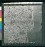 ���Ƚs��:12-1981