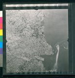 ���Ƚs��:12-1981