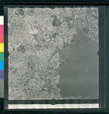 ���Ƚs��:12-1981