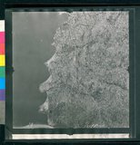 ���Ƚs��:12-1981