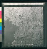 ���Ƚs��:12-1981