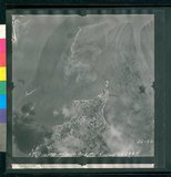 ���Ƚs��:12-1981