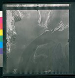 ���Ƚs��:12-1981