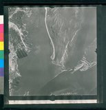 ���Ƚs��:12-1981