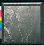 ���Ƚs��:12-1981