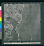 ���Ƚs��:12-1981