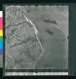 ���Ƚs��:12-1981