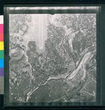 ���Ƚs��:12-1981