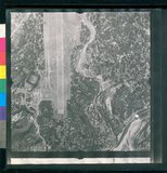 ���Ƚs��:12-1981