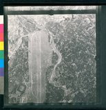 ���Ƚs��:12-1981