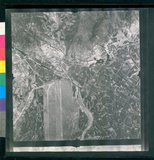 ���Ƚs��:12-1981