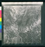 ���Ƚs��:12-1981