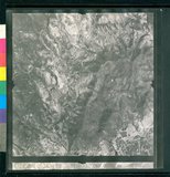 ���Ƚs��:12-1981