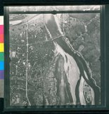 ���Ƚs��:12-1981