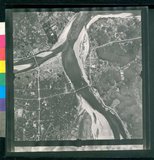 ���Ƚs��:12-1981