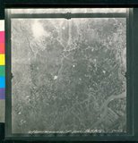 ���Ƚs��:12-1981