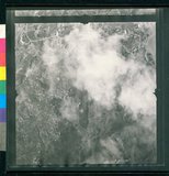 ���Ƚs��:12-1981