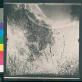 ���Ƚs��:12-1983