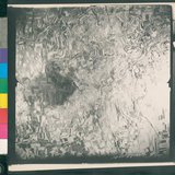 ���Ƚs��:12-1983