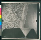 ���Ƚs��:12-1984