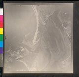 ���Ƚs��:12-2126-VV