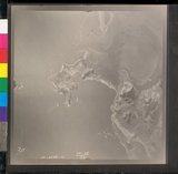 ���Ƚs��:12-2126-VV