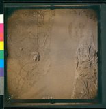 ���Ƚs��:12-2153-VV