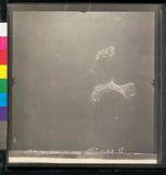 ���Ƚs��:12-2197-VV