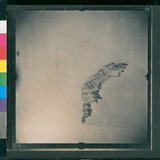 ���Ƚs��:12-2208-VV