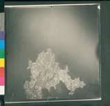 ���Ƚs��:12-2342