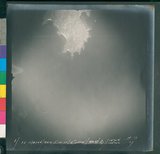 ���Ƚs��:12-2342