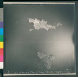 ���Ƚs��:12-2342