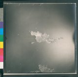 ���Ƚs��:12-2342