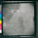 ���Ƚs��:12-2386