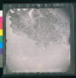 ���Ƚs��:12-2406