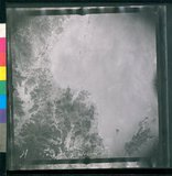 ���Ƚs��:12-2406