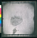 ���Ƚs��:12-2406