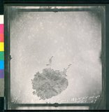 ���Ƚs��:12-2406