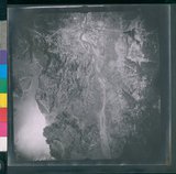 ���Ƚs��:12-2419