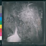 ���Ƚs��:12-2419