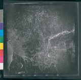 ���Ƚs��:12-2419