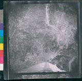 ���Ƚs��:12-2419