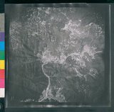 ���Ƚs��:12-2419